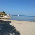 Roncevic * Zadar