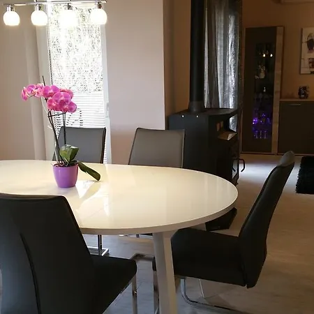 龙塞维克公寓 公寓
