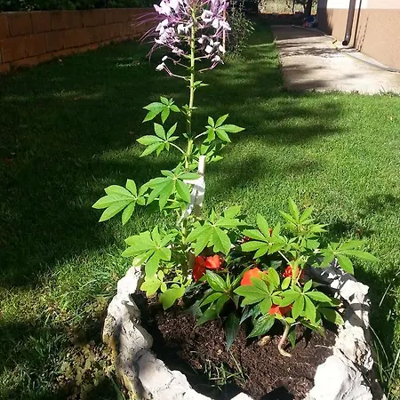 Apartman Roncevic Zára