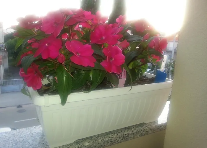 Appartement Roncevic *