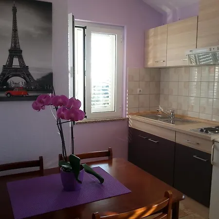Roncevic זאדאר