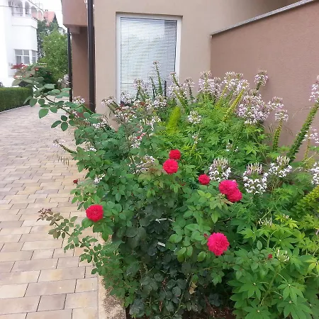 Roncevic Apartamento