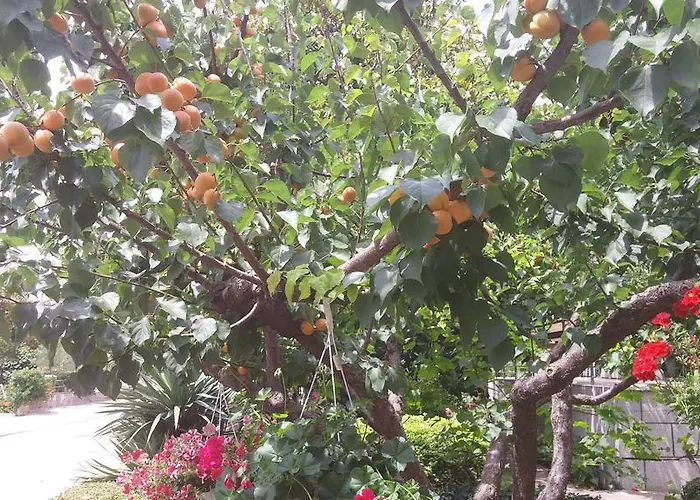 Apartamento Roncevic