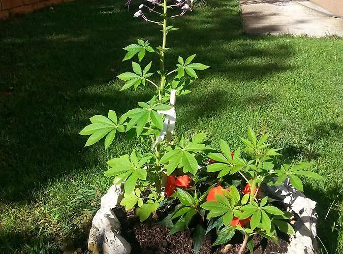 Apartamento Roncevic Zadar