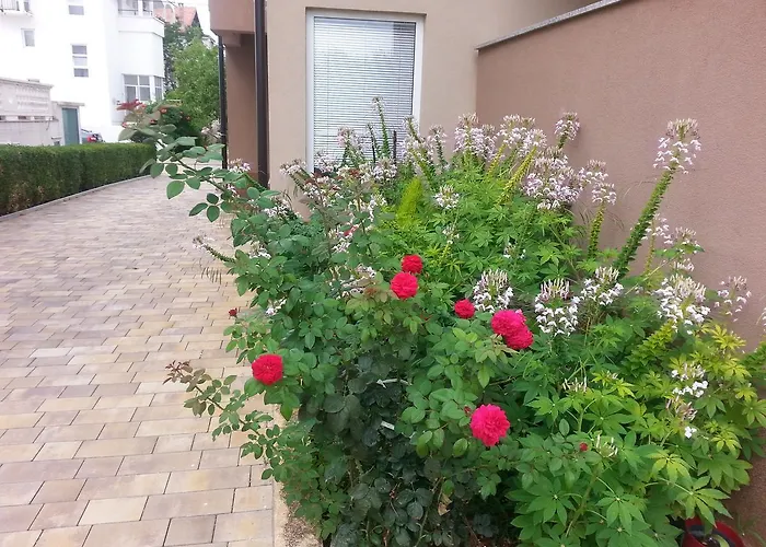 Roncevic Apartamento